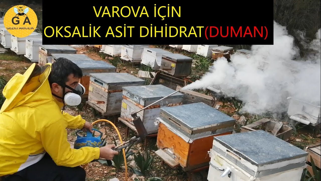 29.01.2022 VAROVA için OKSALİK ASİT (dihidrat) duman nasıl kullanılır.beekeeping. arıcılık.