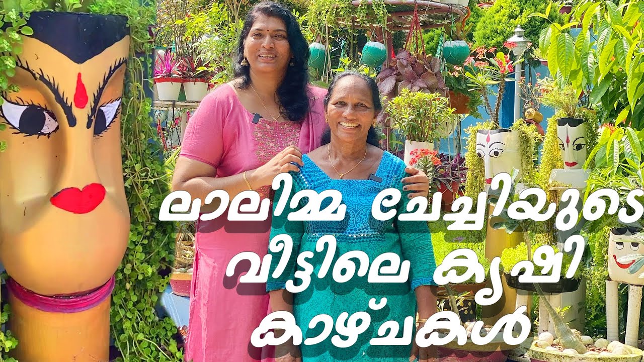 ചിരട്ടയും മുട്ടയും മുതൽ പാമോയിലിന്റെ ടിന്നിൽ വരെ ചെടി വളർത്തൽ  | PREETHA CHANDRAN