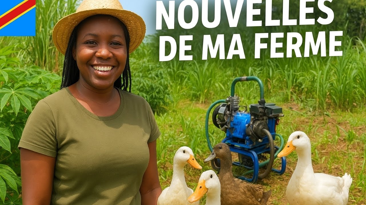 Notre ferme évolue petit  petit🌱 Nouvelles plantations & nos premiers œufs ! 🦆💚