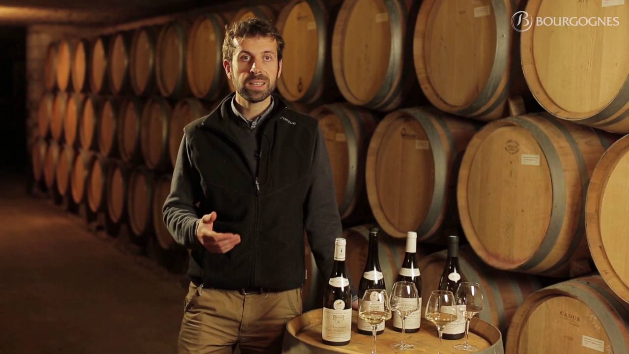 Les Hautes Côtes de Beaune et de Nuits, vues par Nicolas Thévenot