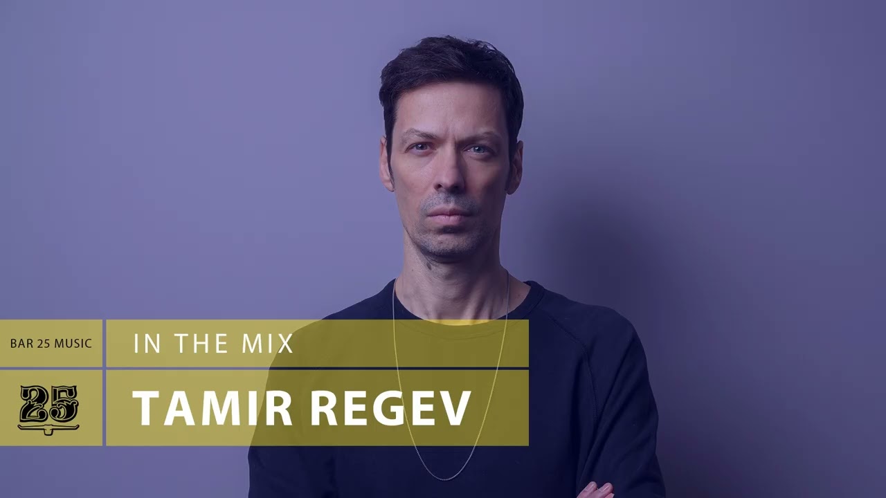 Bar 25 Music In The Mix #184 - Tamir Regev