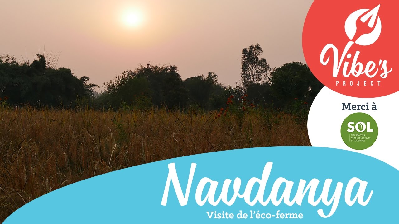 Vibe's   Navdanya