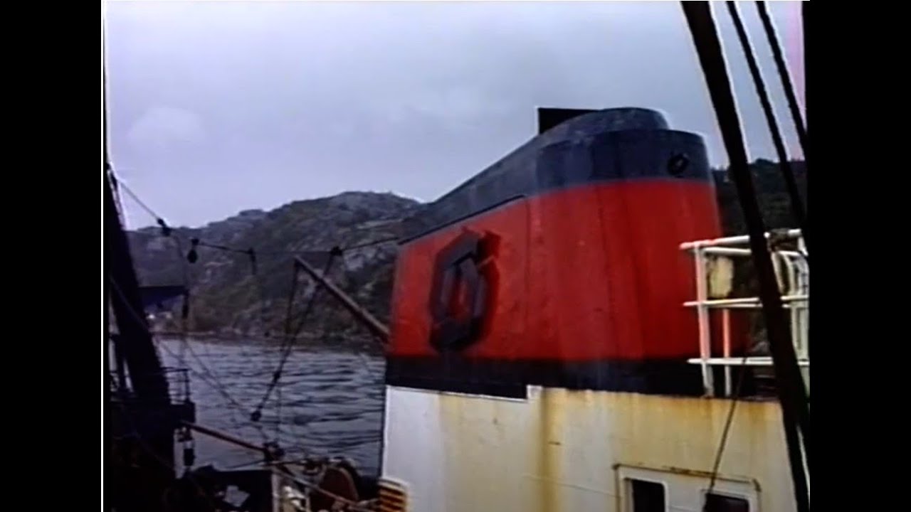 1985 Bonaparte