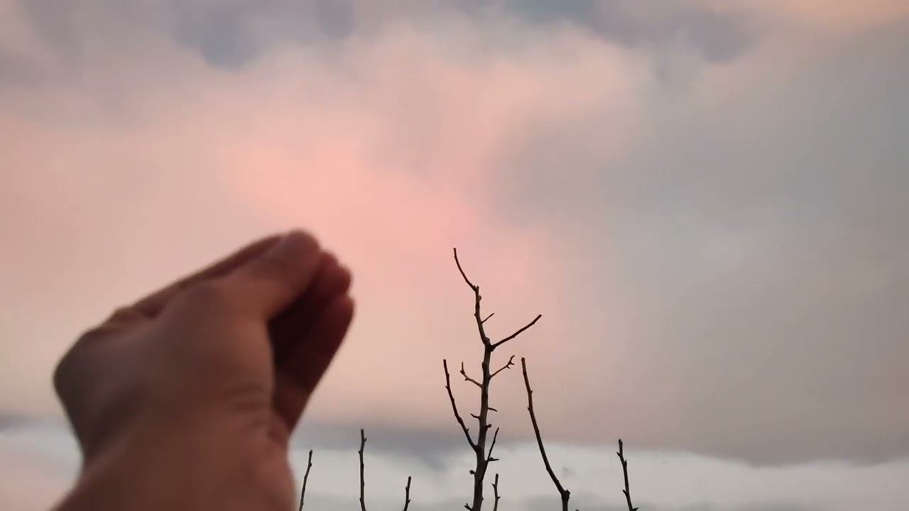 This evening,the clouds turned a soft shade of pink,creating a truly breathtaking and beautiful view