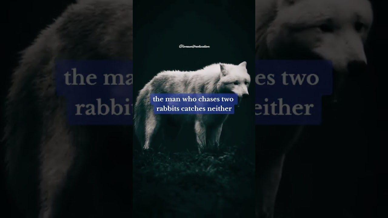 Uplifting Life Quotes & Videos for PositiveChange #DailyMotivation #SuccessJourney #InspirationDaily