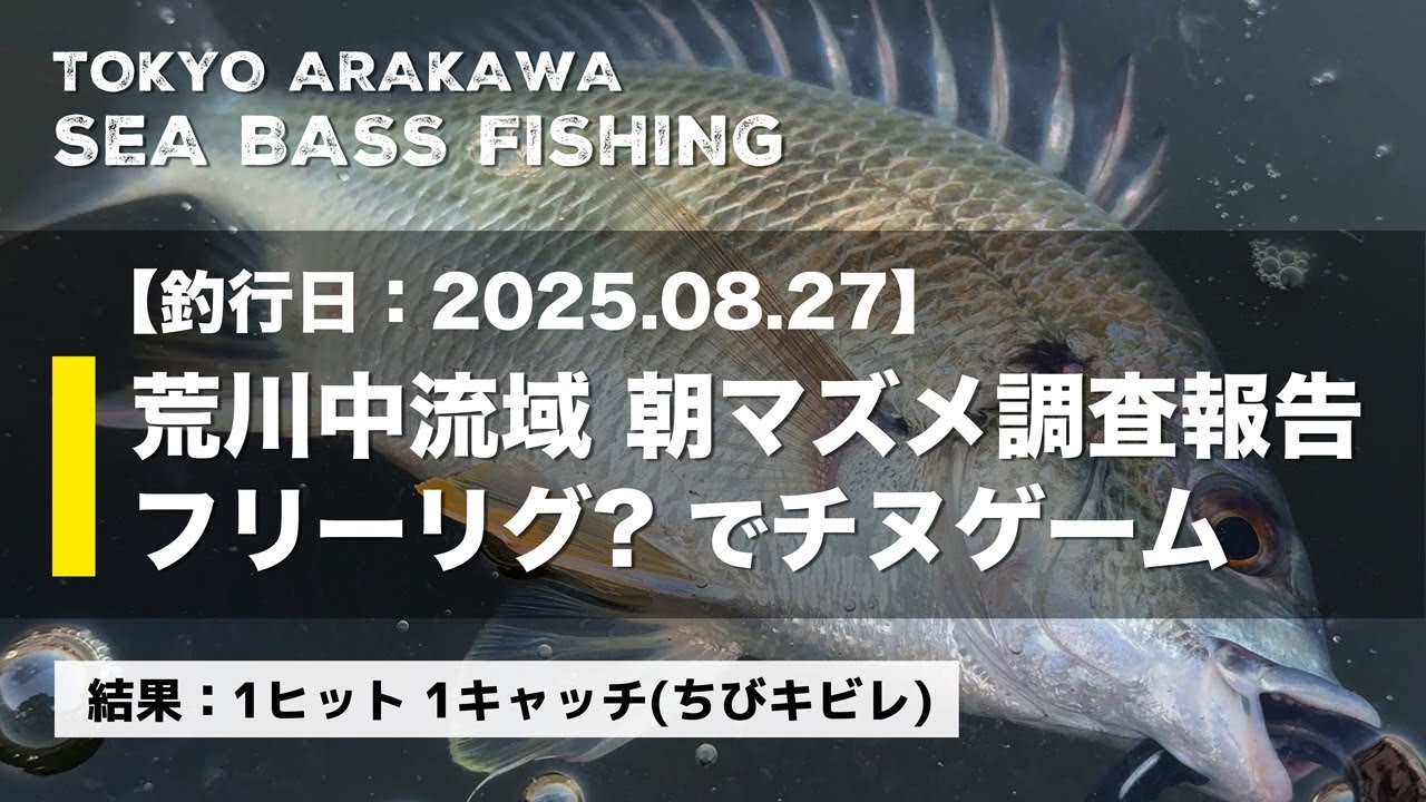 【荒川シーバス釣りログ - 2025.08.27】荒川中流域 - 朝マズメ調査｜フリーリグもどきでチヌゲーム！