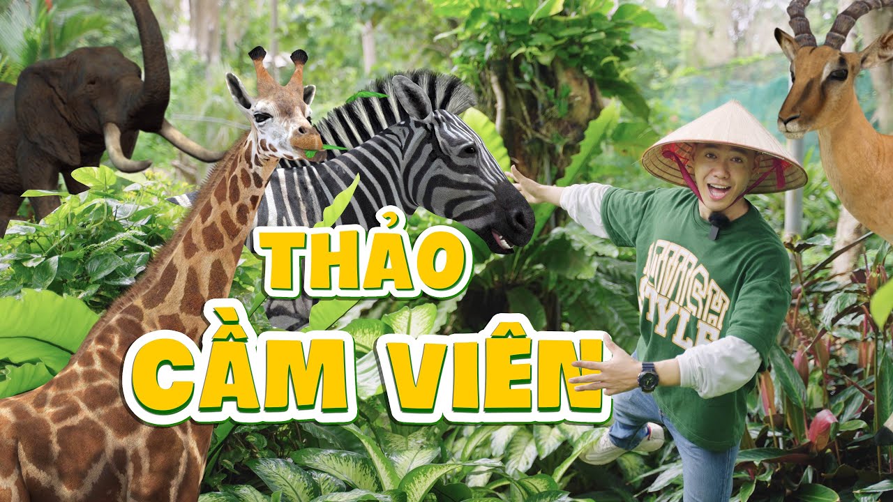 Khám phá sở thú Thảo Cầm Viên, xem Hổ Voi Gấu Cáo Khỉ với hơn 1000 con động vật hoang dã