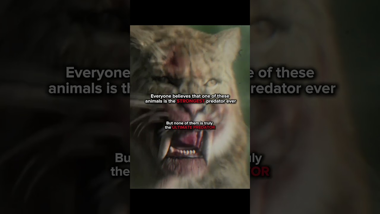 The True Ultimate Predator🔥