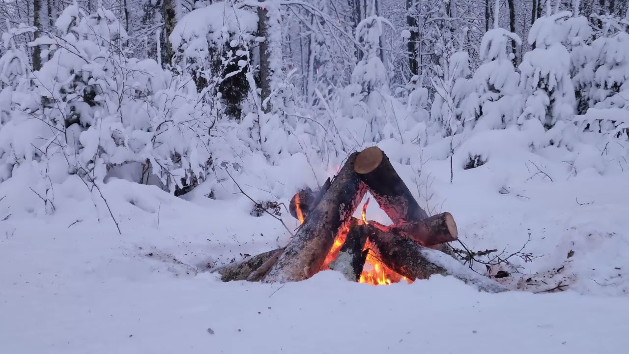 Winter Campfire Serenity | Crackling Fire in the Snow