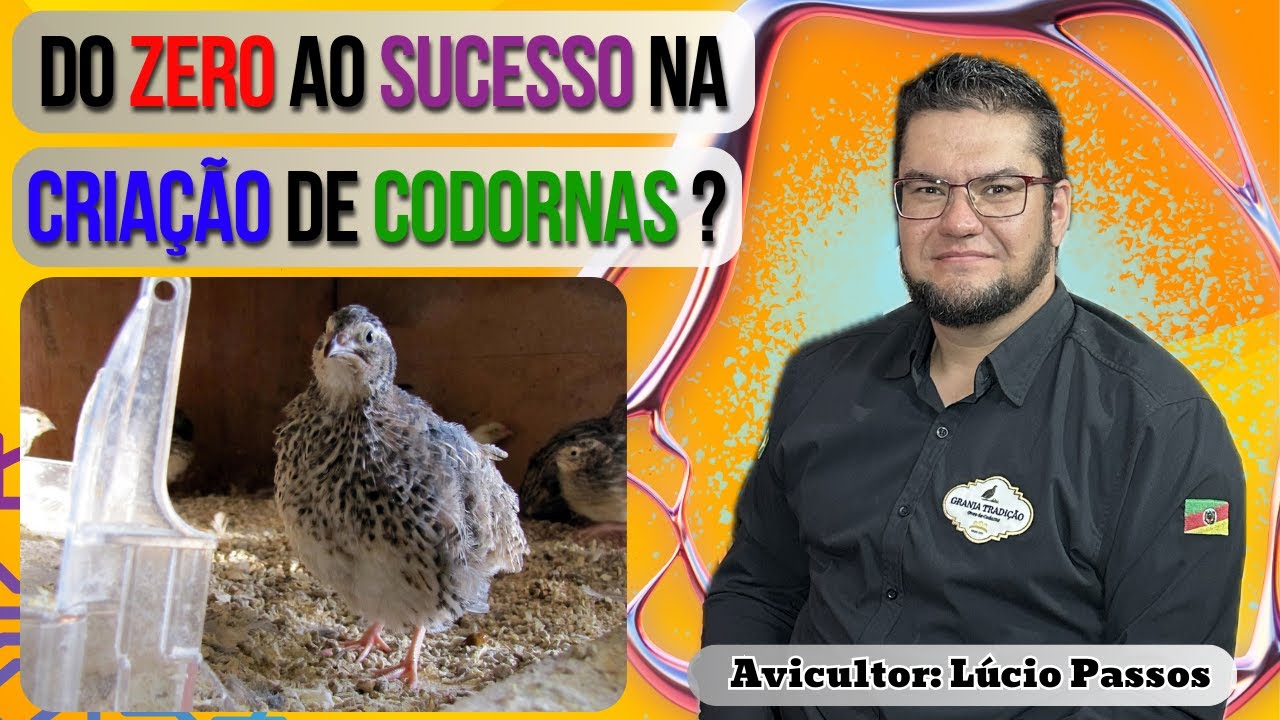 Criação de Codornas: Os Desafios e Superação da Granja Tradição