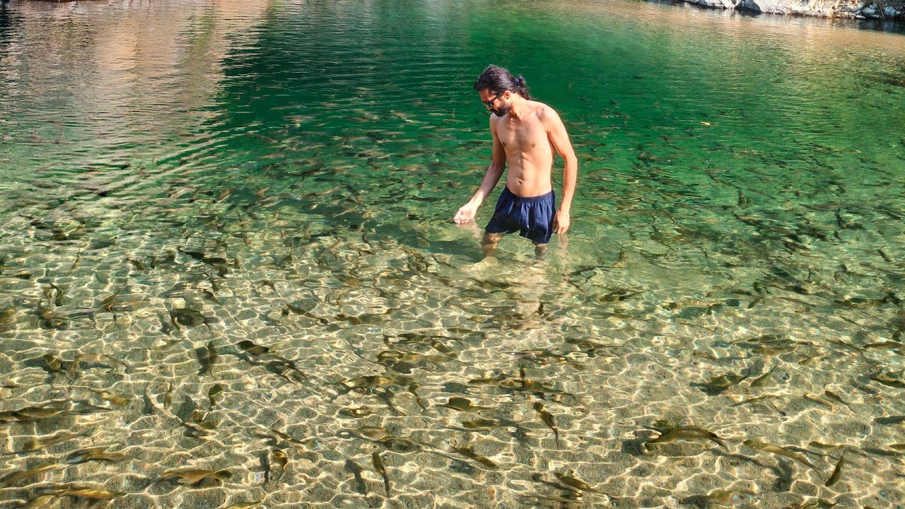 Jadisil Fish Sanctuary in South Garo Hills, Meghalaya| Silver Mahseer |
