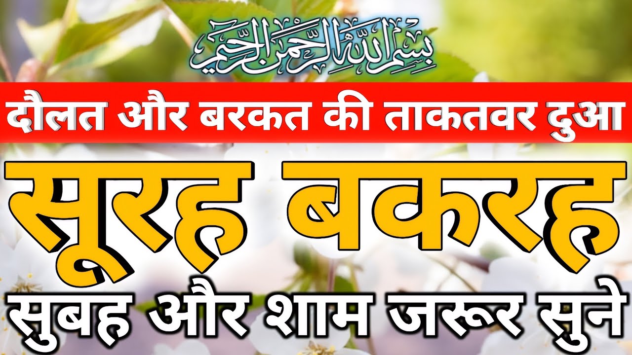 Surah baqarah || Surah baqarah ki tilawat || Surah baqarah full || EP509 #surahbaqarah 