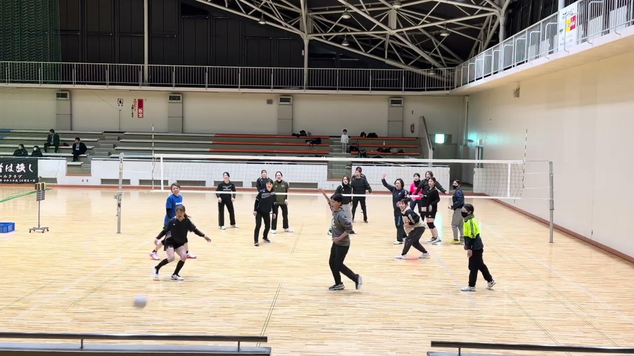 コスモさん②