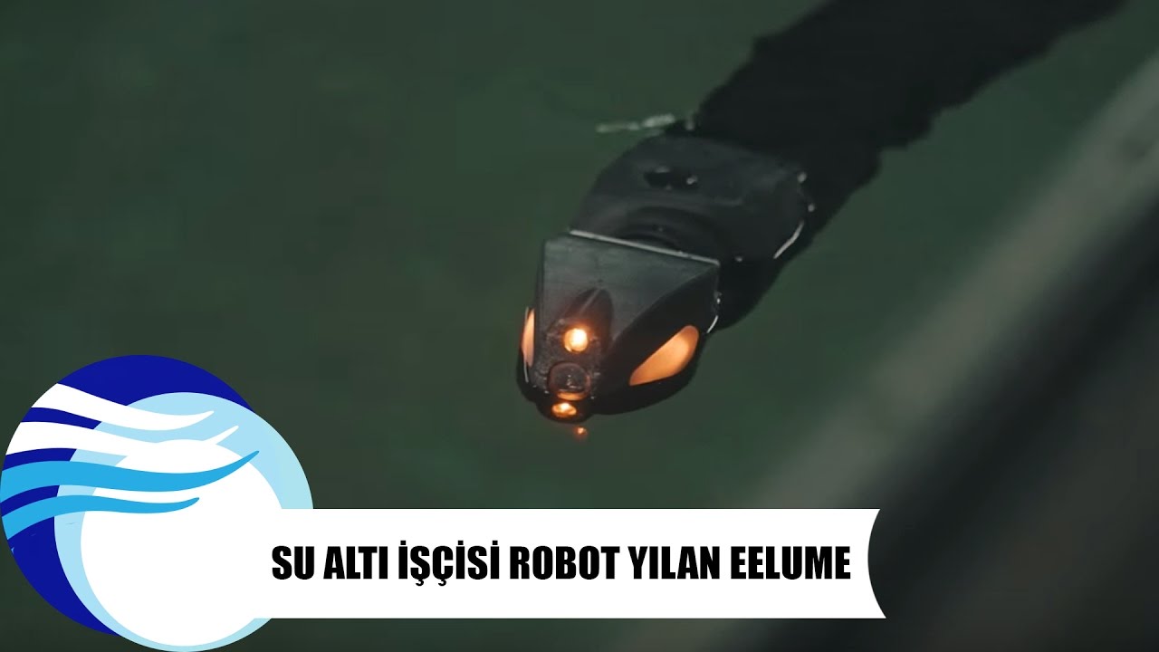 Su altı işçisi robot yılan Eelume