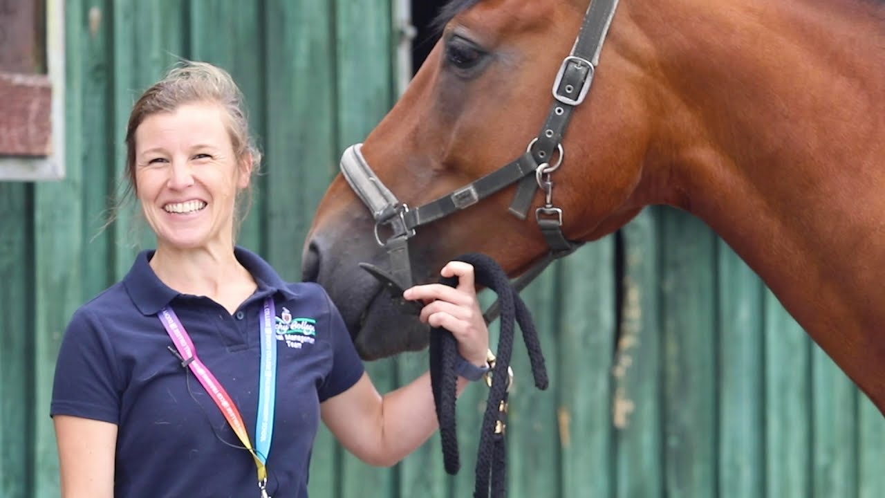 Study Equine at Duchy College Stoke Climsland