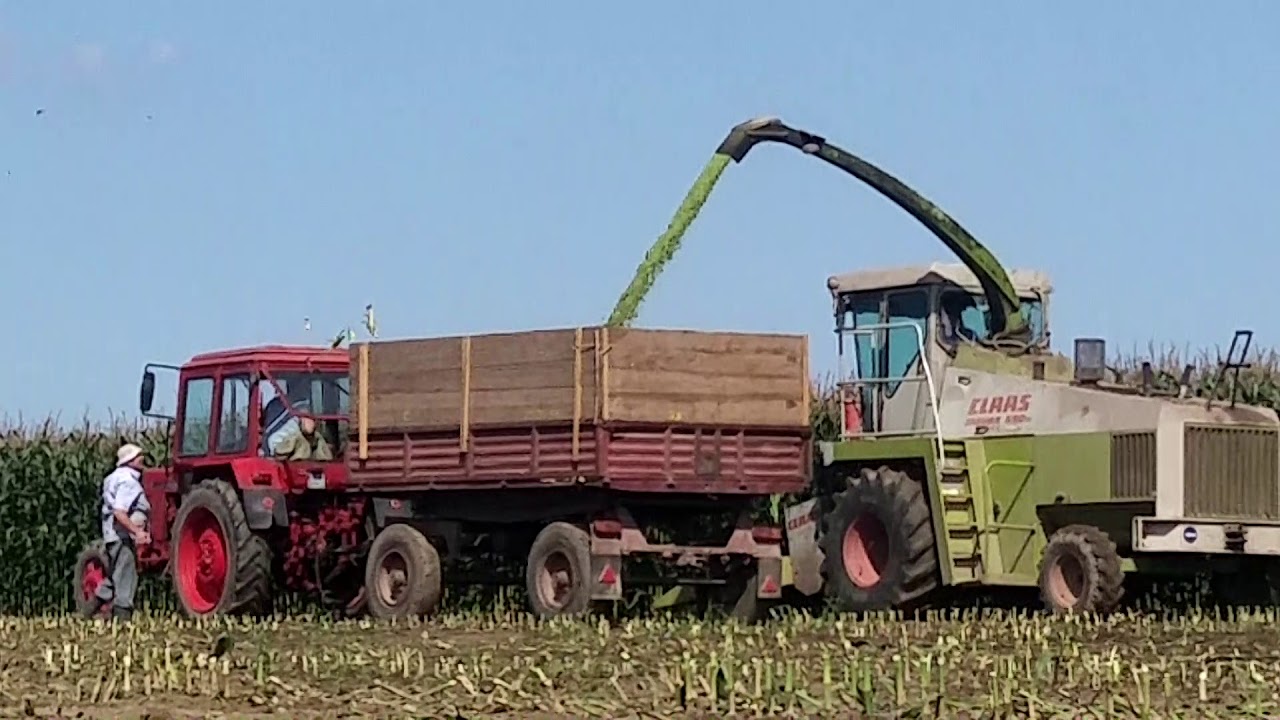 Kukurydza 2018 Świętokrzyskie.3xZetor,Case,Mtz,Class,Ursus
