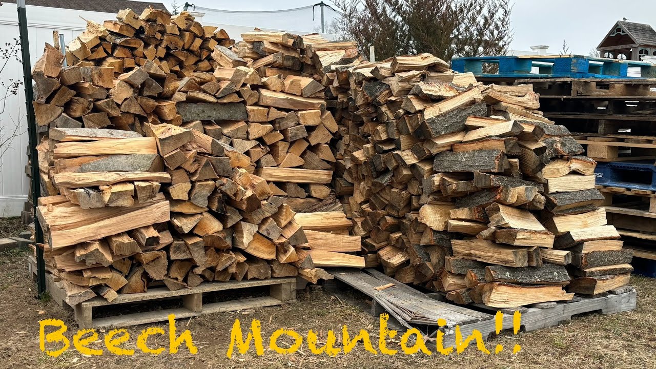 Beechnut “Mountain” is finally COMPLETE! #firewood #wood #beech - 014