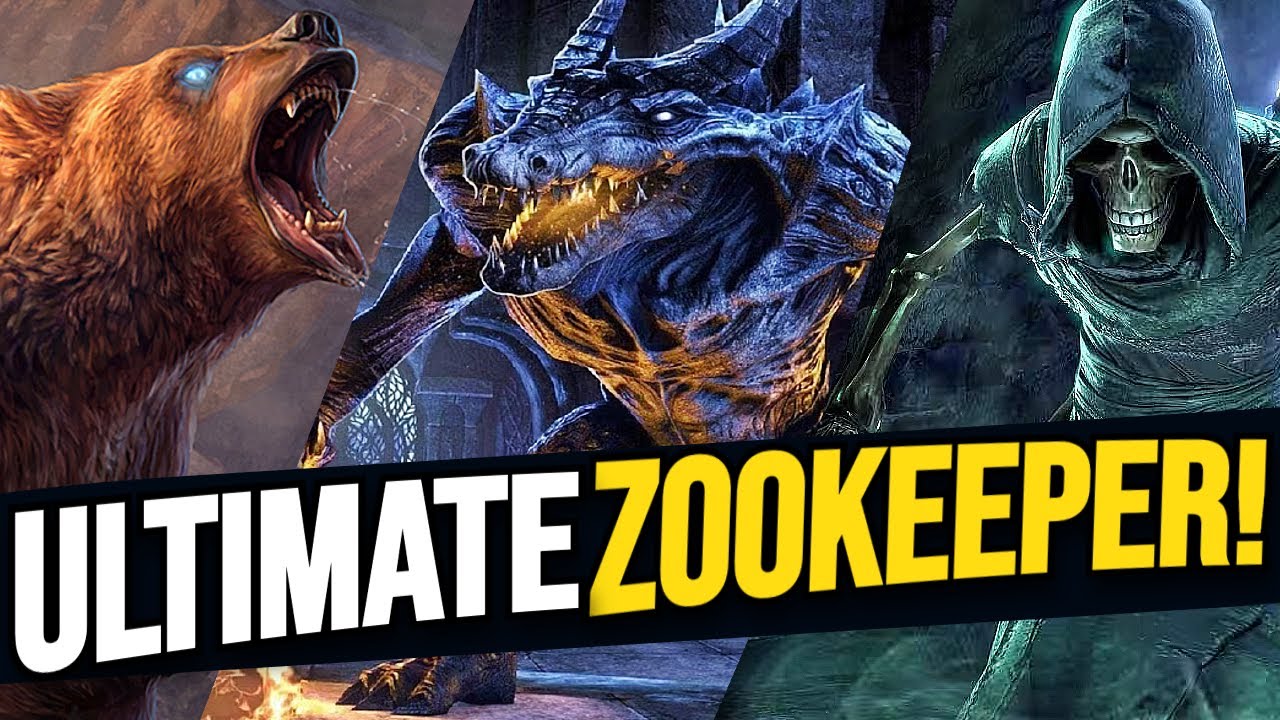 Command An ARMY! Best Subclassing Solo Pet Build For ESO