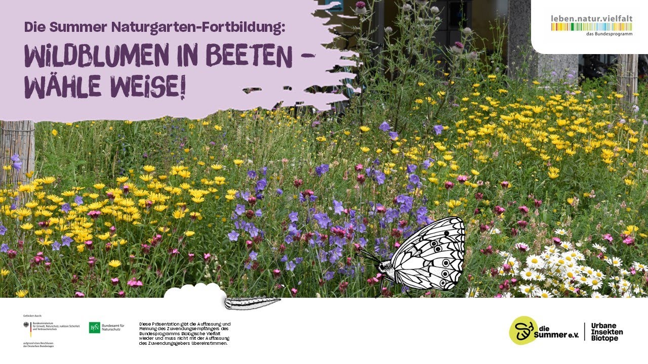 Wildblumen in Beeten - wähle weise!