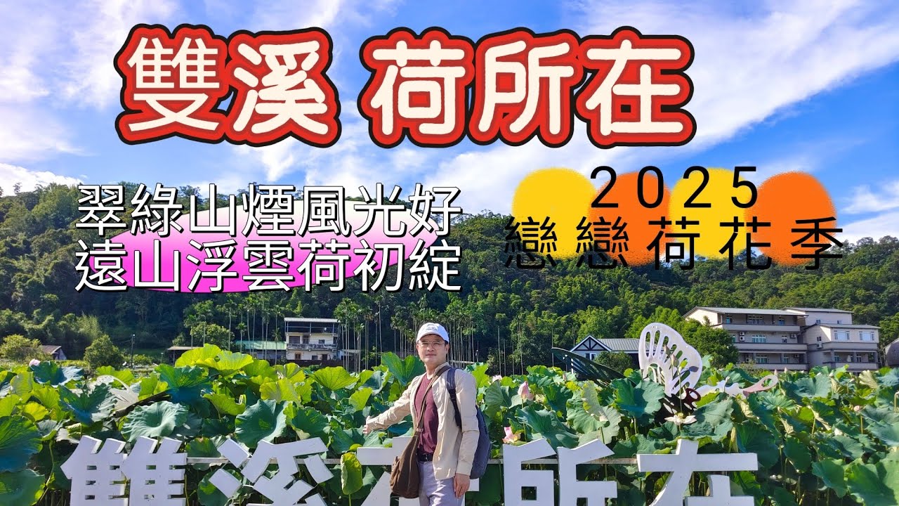 新北雙溪 荷所在 戀戀荷花季 上林荷花