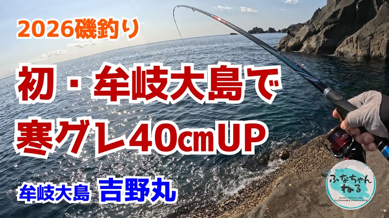 【磯釣り】初挑戦の牟岐大島、激渋の中で仕留めた価値ある寒グレ40㎝UP／5日熟成で炙り刺身も旨し！