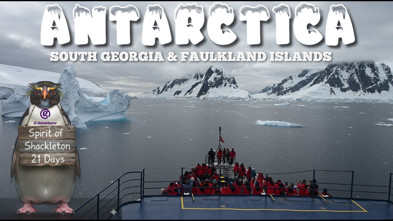 Antarctica, South Georgian Islands and Faulkland Islands - Spirit of Shackleton Expedition