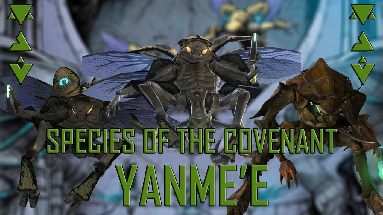 Species of the Covenant-The Yanme'e