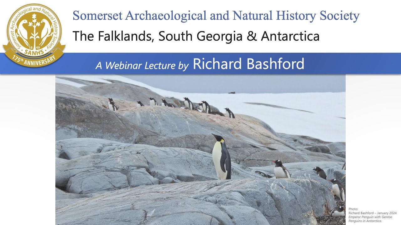 The Falklands, South Georgia & Antarctica - by Richard Bashford