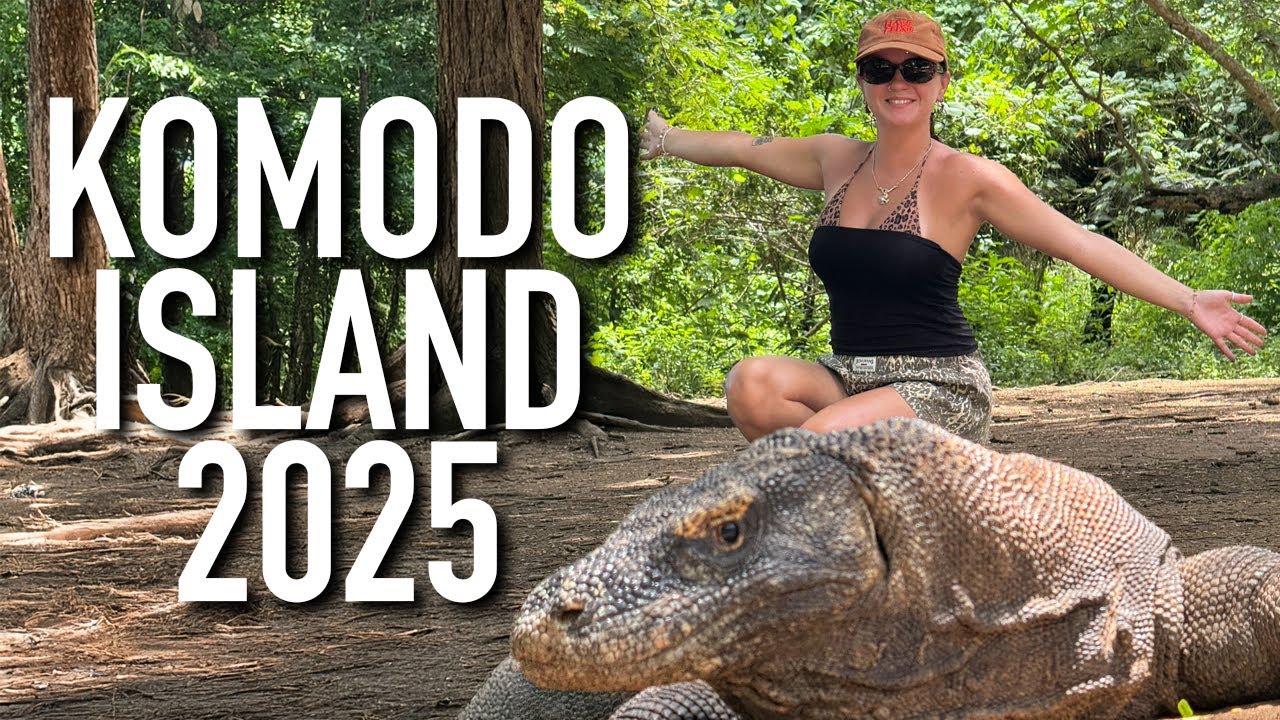 Komodo National Park Indonesia (Full Tour & Wildlife Spotting)