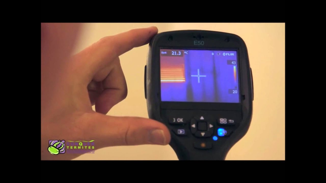 How a Thermal Camera is used in a termite inspection