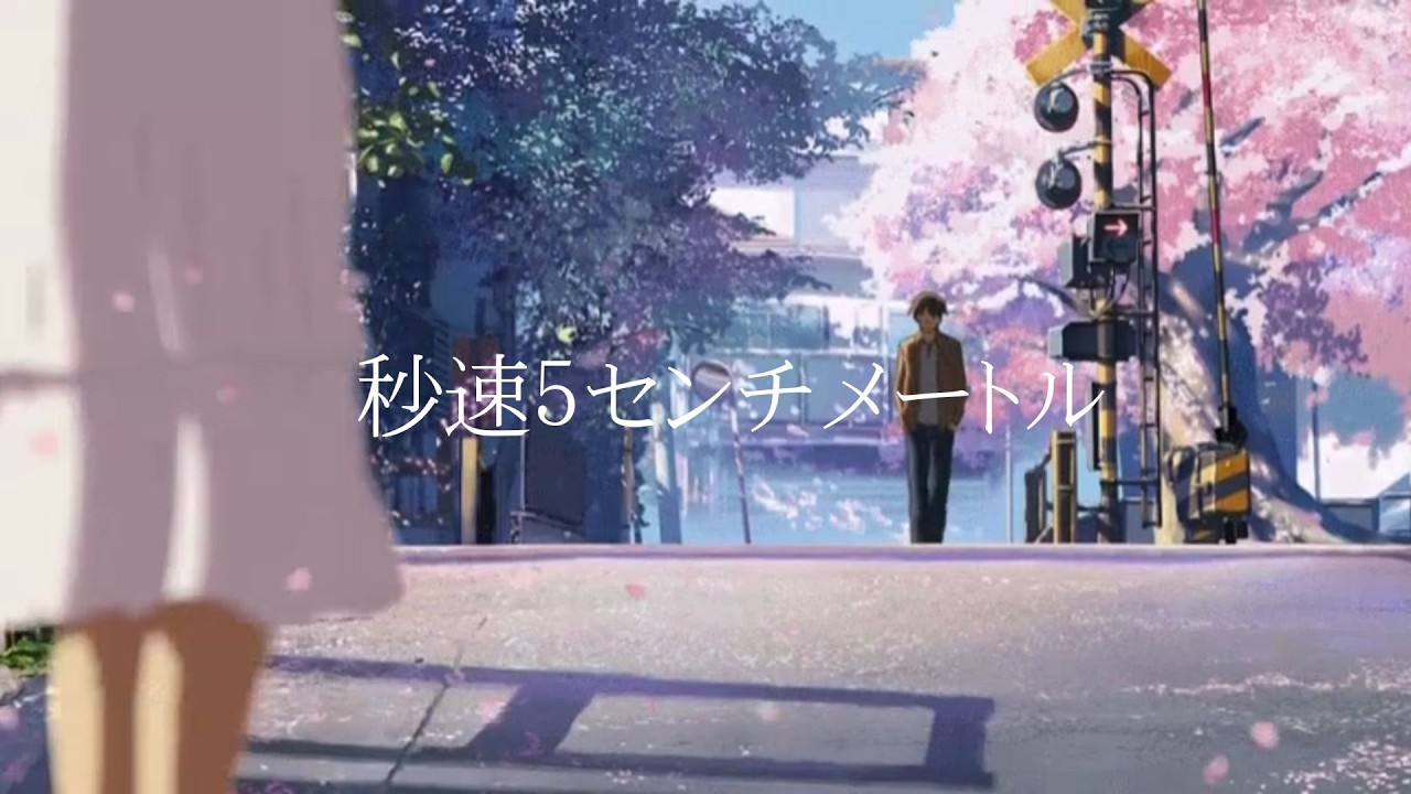 [Violin] 초속 5센티미터 ost - One more time, one more chance 秒速５センチメートル 바이올린 커버