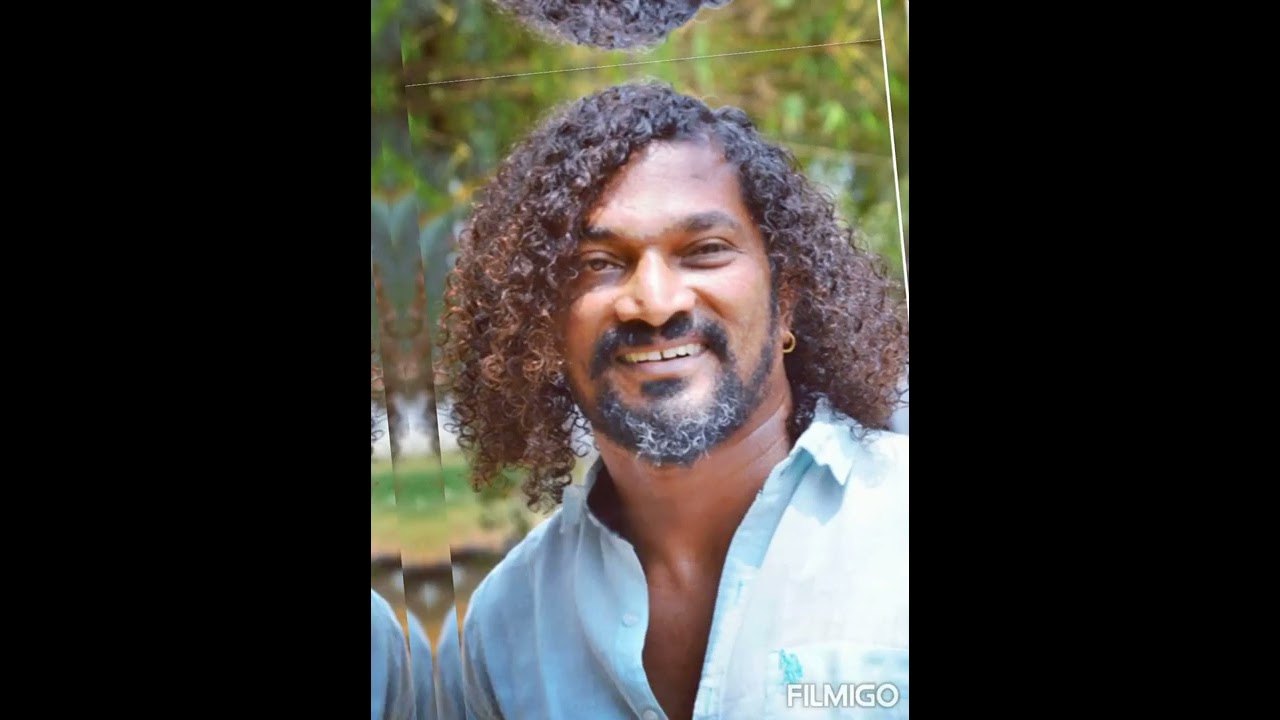 Stunt Silva directed movies