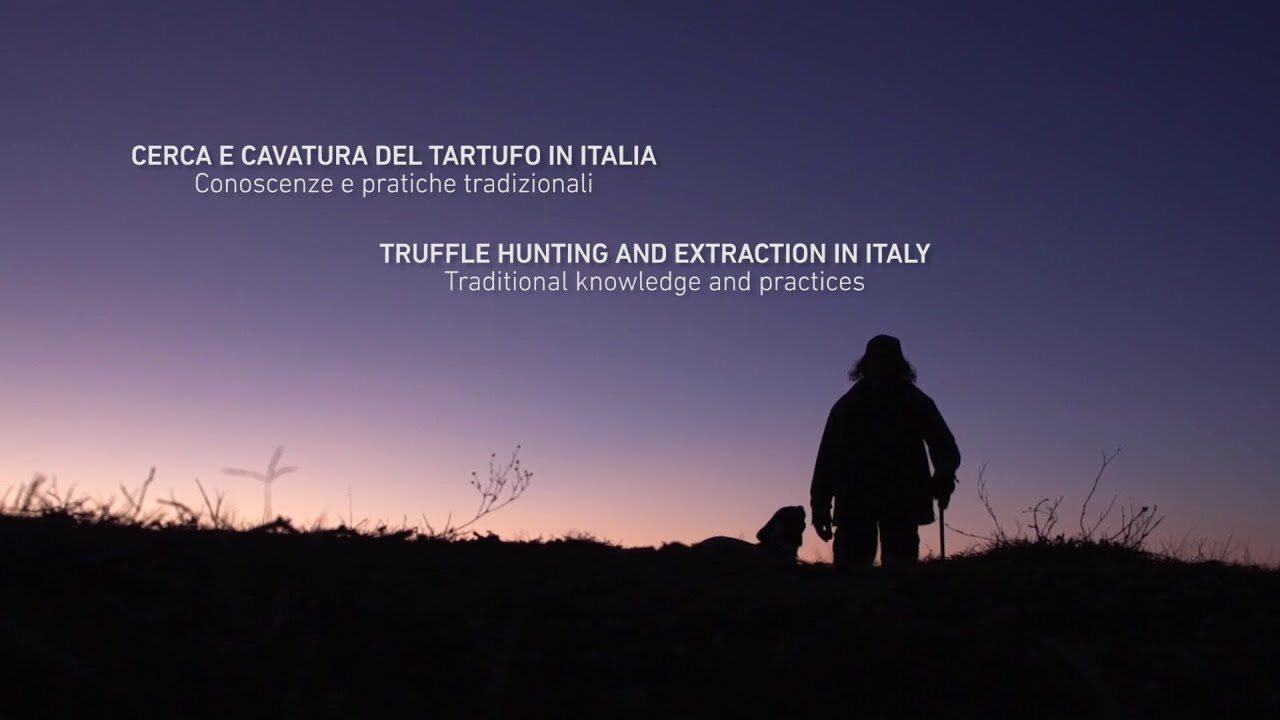 Cerca e cavatura del tartufo in Italia: conoscenze e pratiche tradizionali - Il film