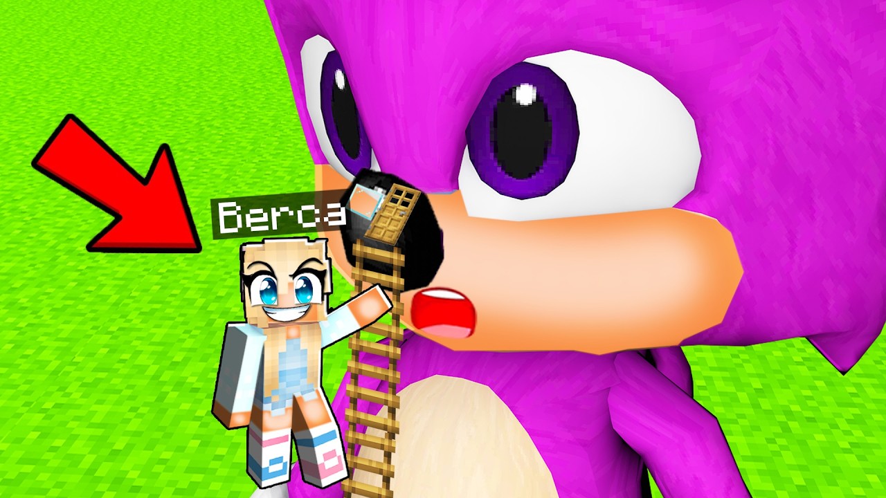 Kız Bebek Sonic'in Burnunun İçinde Ne Var? - 😨 Minecraft