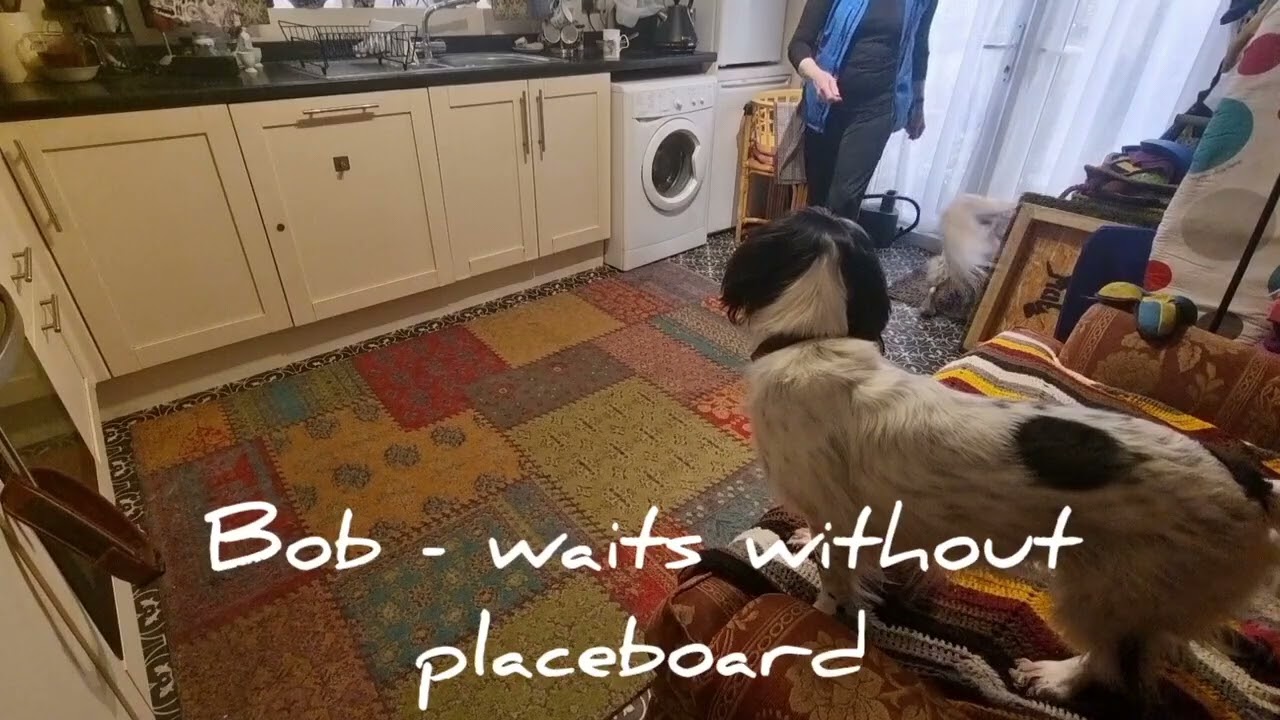 Katy Bob 2 March 2026 placeboard waits and without it