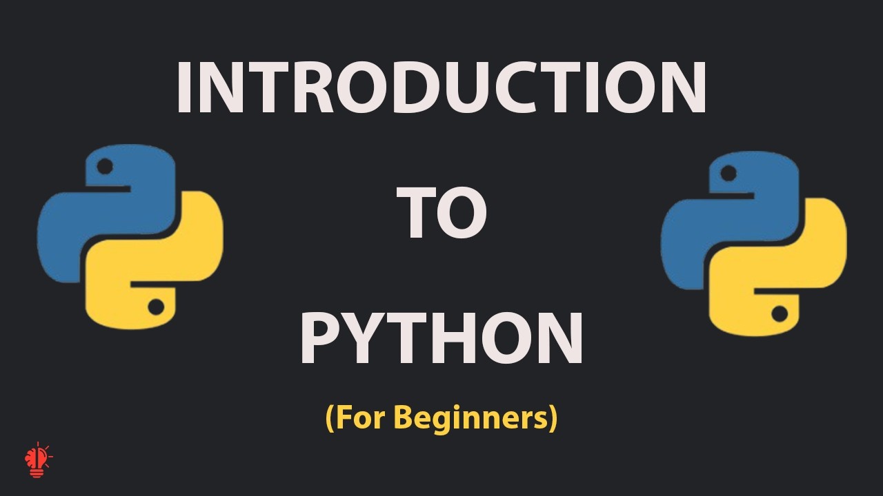 Python 101: The Complete Beginner’s Guide (Install + First Code)