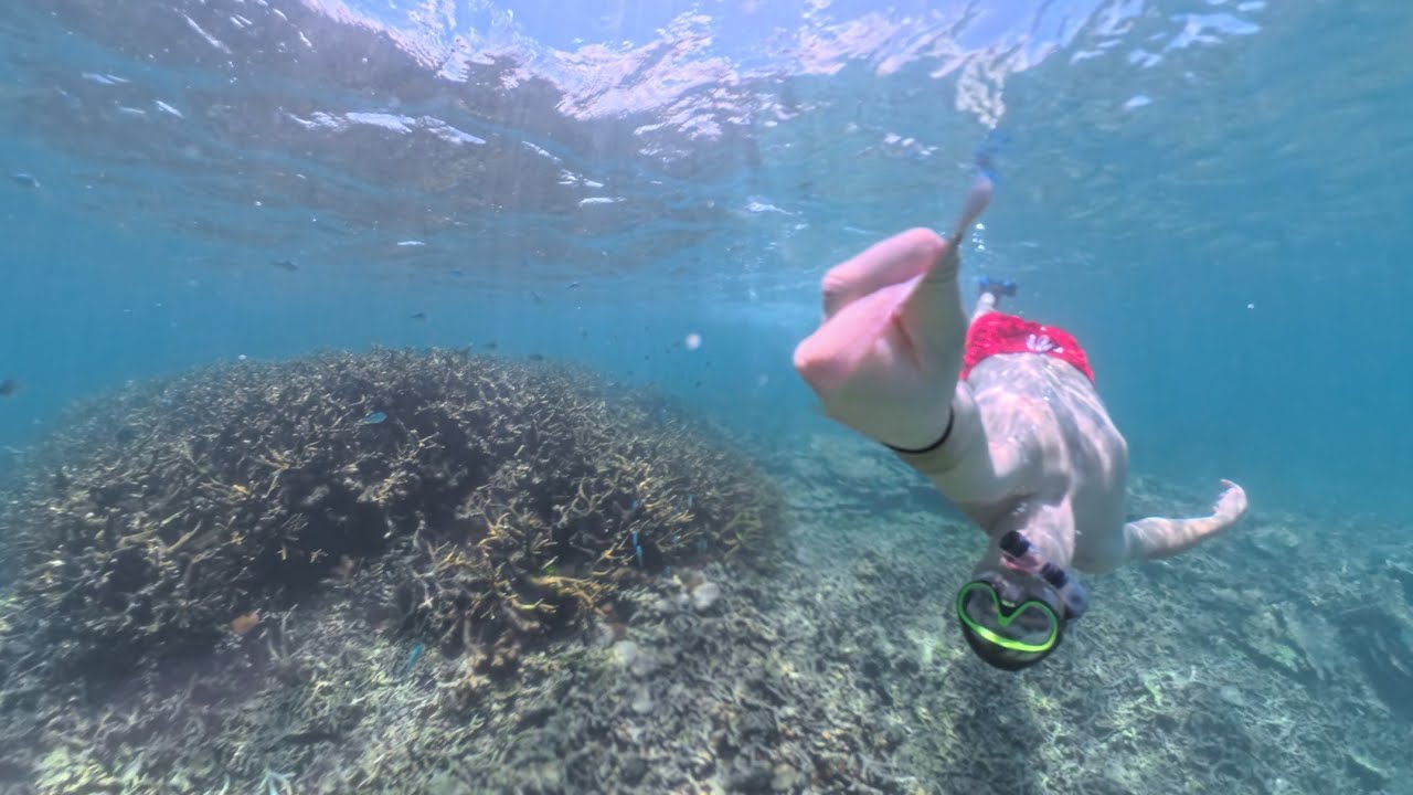 Première session snorkeling dans le magnifique lagon de Blue Bay à l'île Maurice 🇲🇺 !