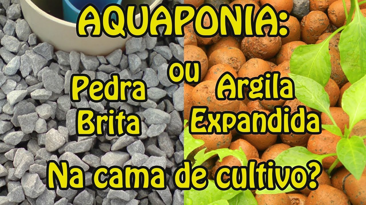 Aquaponia: pedra brita ou argila expandida na cama de cultivo?
