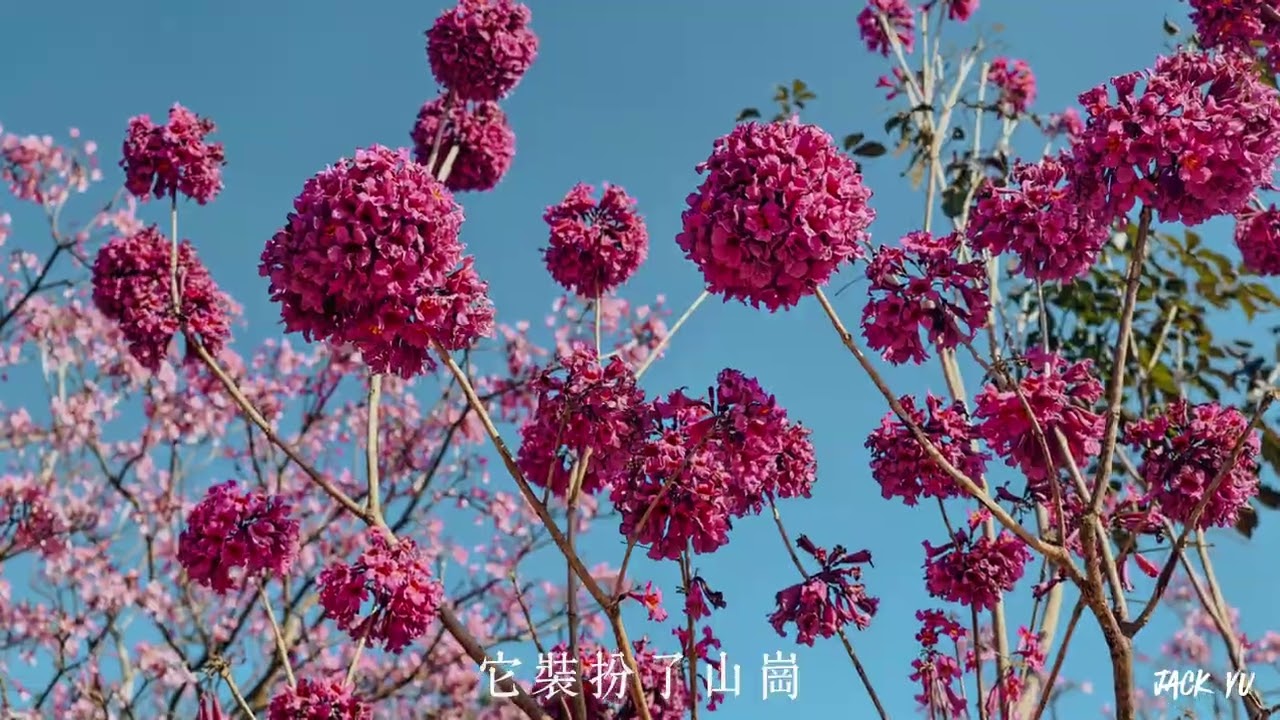 江門綠色美生態園