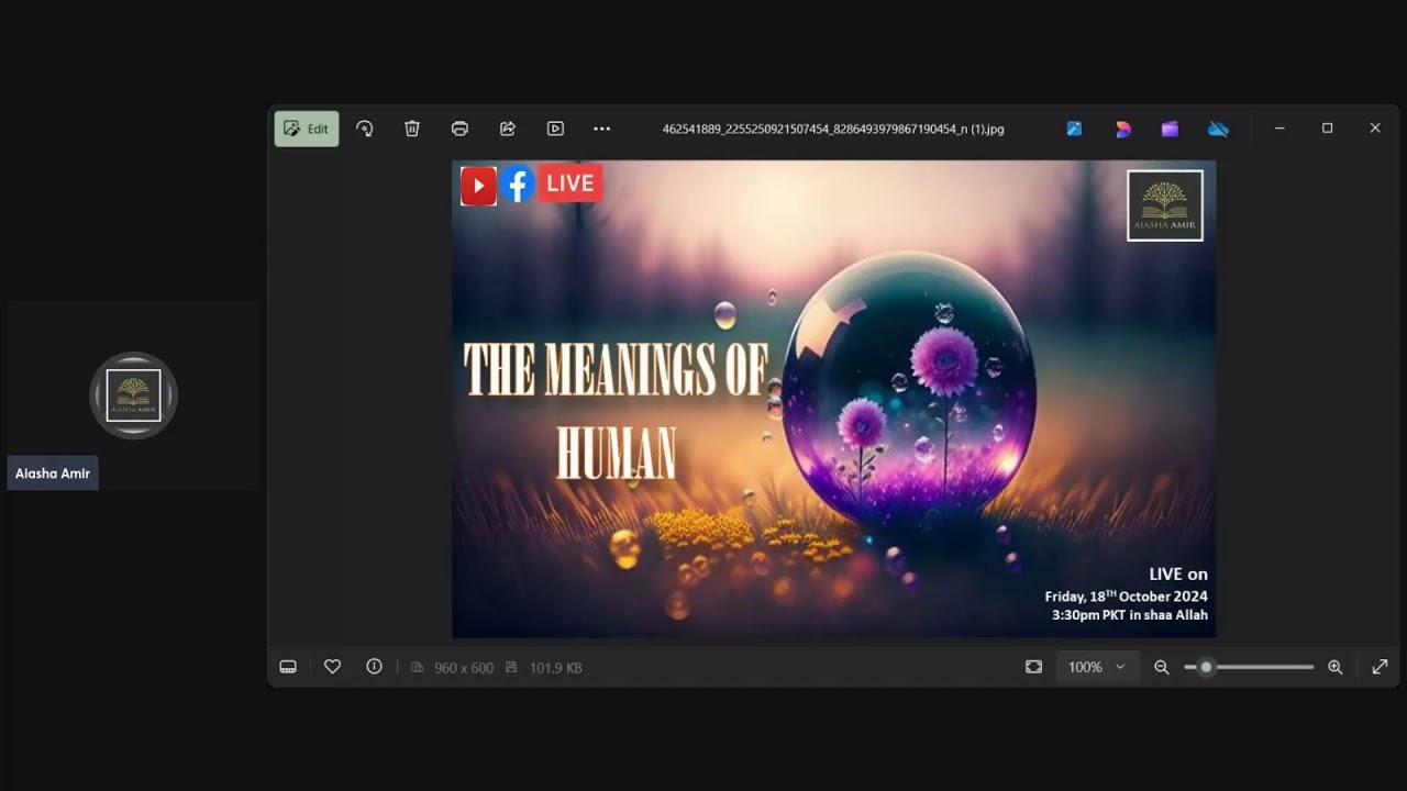 The Meaning Of Human by Aiasha Amir