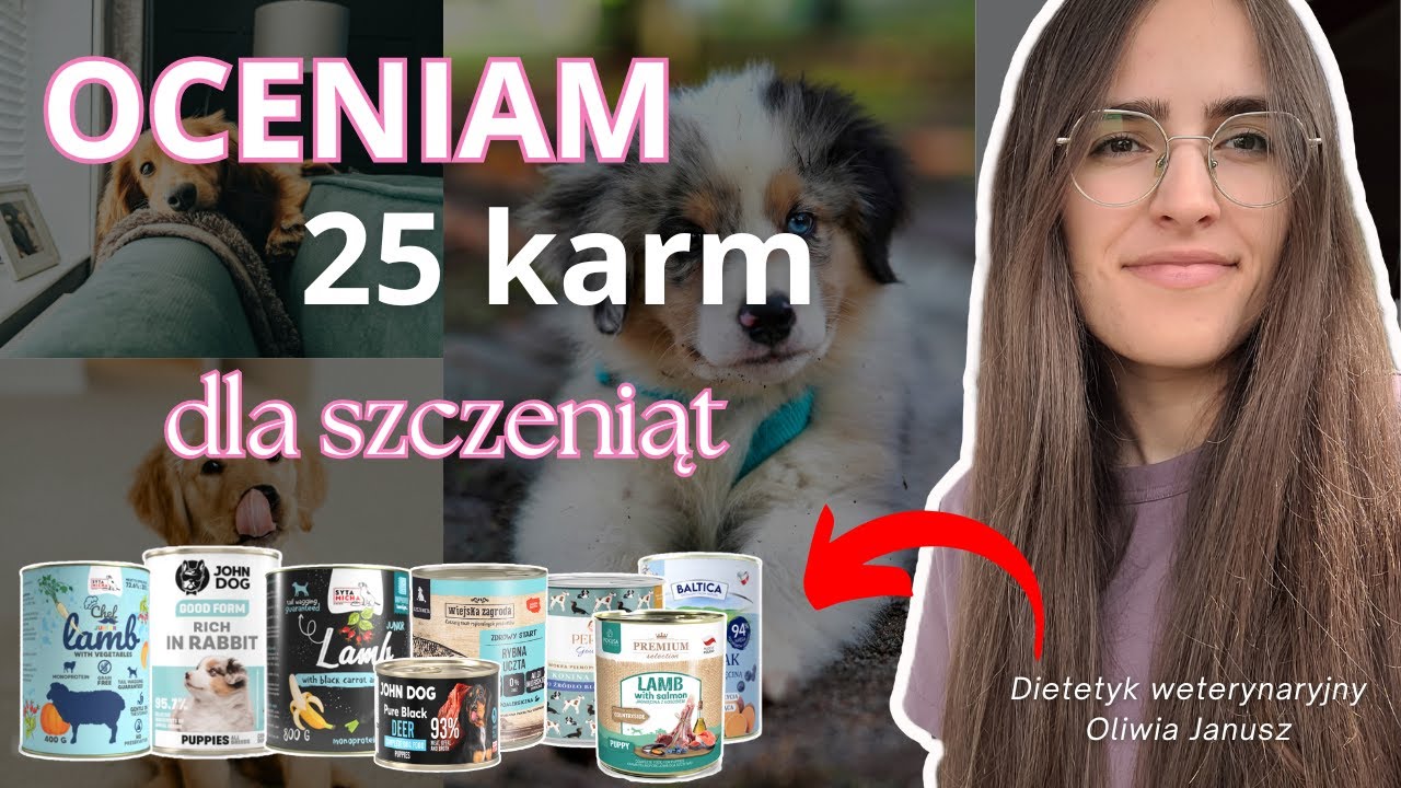Psi dietetyk ocenia mokre karmy dla szczeniąt - jaką karmę wybrać? #psidietetyk  #szczeniak