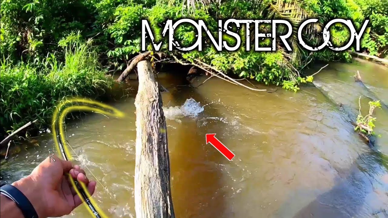 MEMANCING IKAN HAMPALA DI ARUS DERAS MEMANG AMAZING || Reynold sb 24/0619