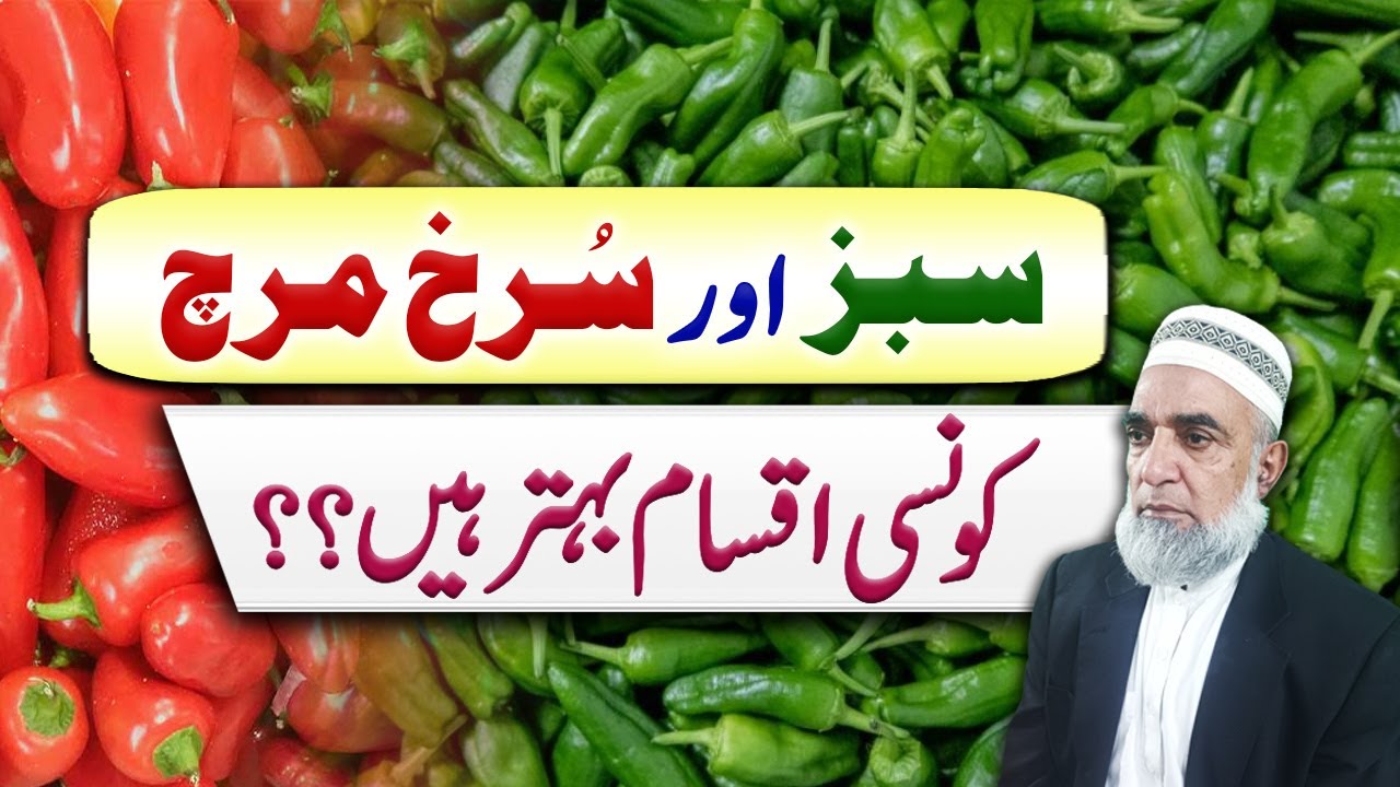 Which are better varieties of Chilies || Crop Reformer
