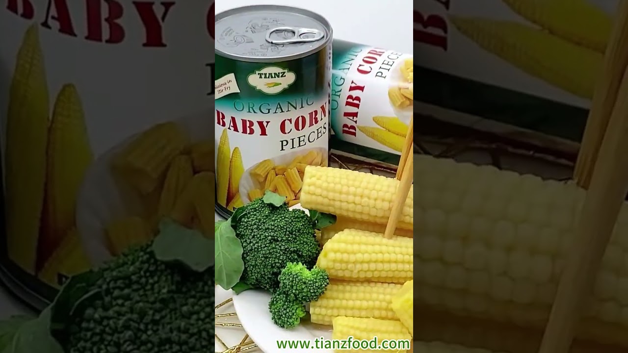 Tasty Baby Corn Delight! 🌽😋| Support OEM&ODM | Tianz Food Factory