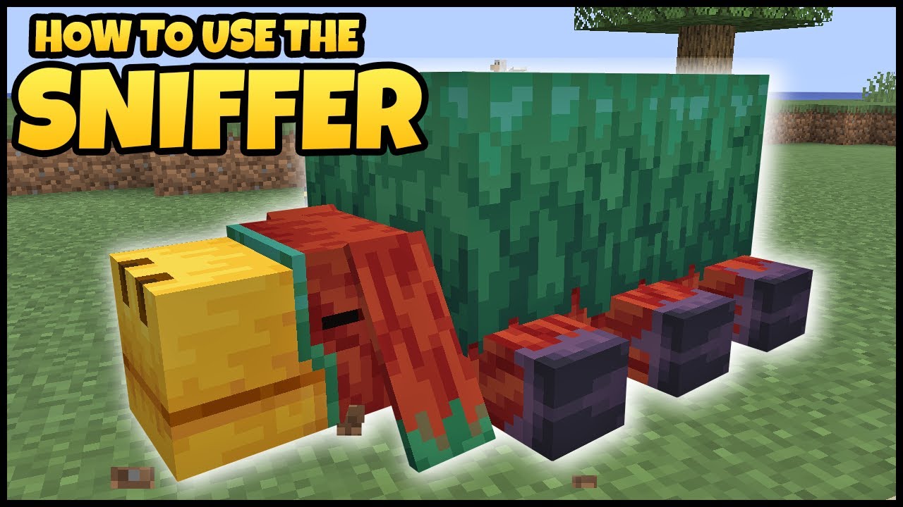 Jak używać SNIFFERA w MINECRAFT
