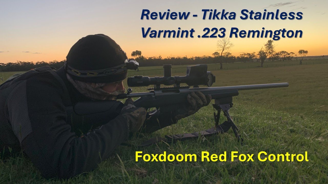 Обзор - Tikka T3X Stainless Varmint 223 Remington