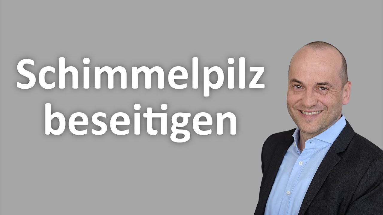 Schimmelpilz selbst beseitigen, wenn der Vermieter nicht reagiert?