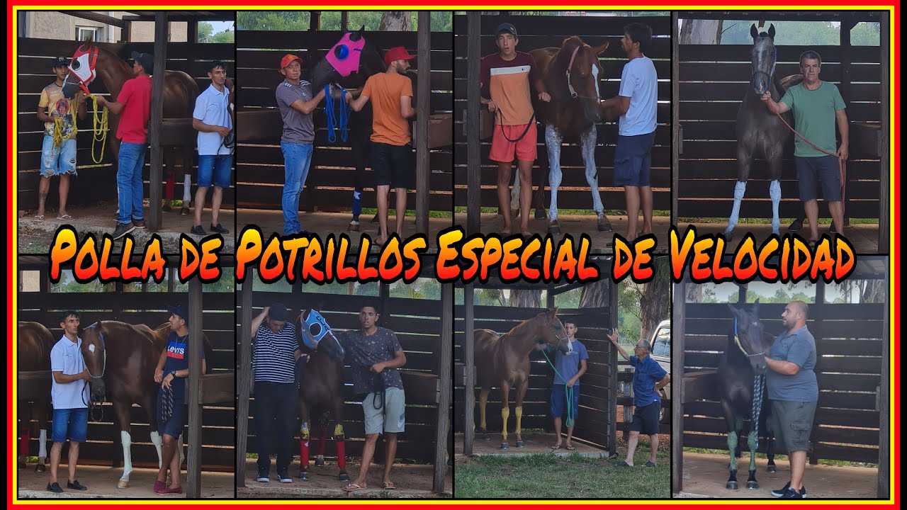 PRESENTACI&Oacute;N POLLA DE POTRILLOS : ESPECIAL DE VELOCIDAD - 365m - 25 y 26/02/2023 - Hip&oacute;dromo Artigas