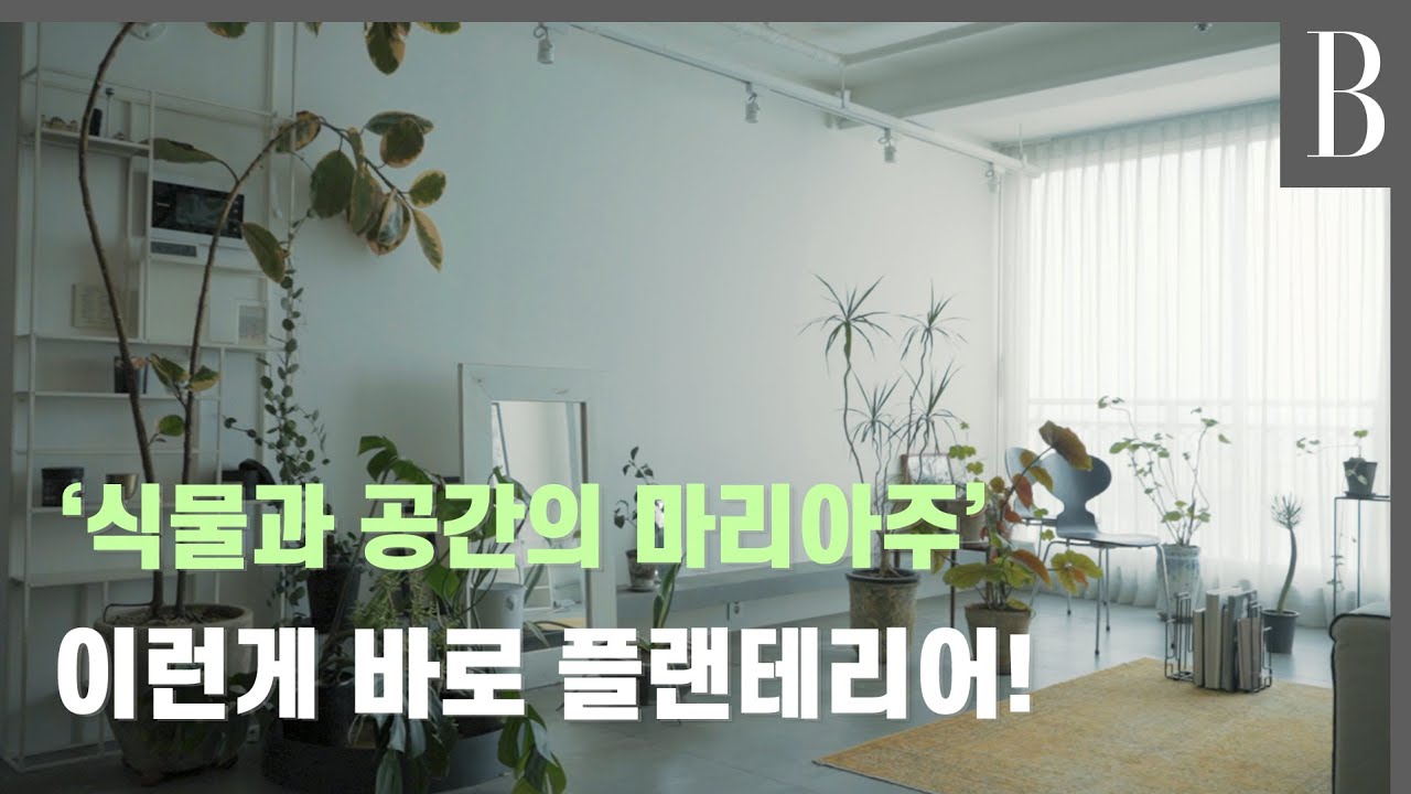 식물 공간 디자이너의 집은 어떤 모습일까? #홈터뷰
