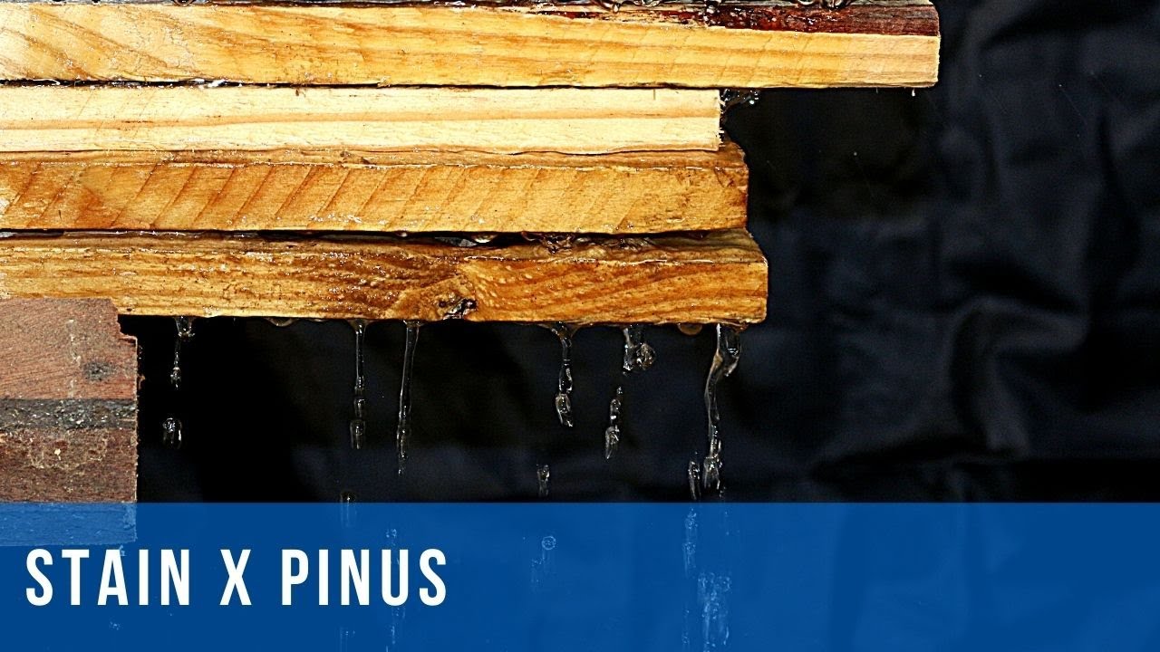 Stain protege pinus da umidade?